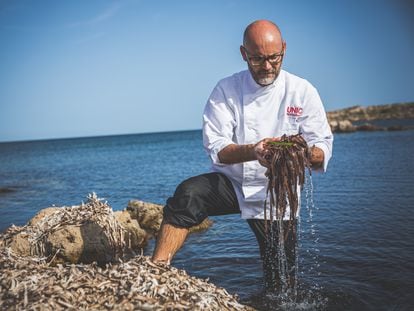 David Grussaute recoge posidonia en la cala de La Xanga, en Ibiza, en una imagen proporcionada por el restaurante UNIC.