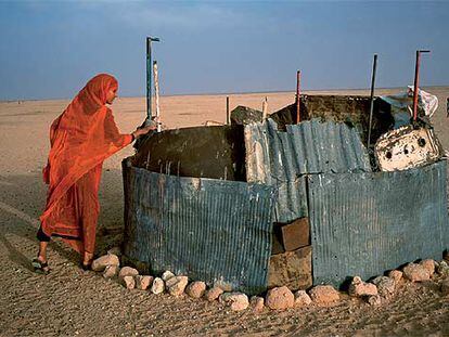 Un chamizo en el desierto del Sáhara.