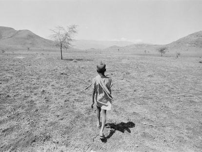 Noviembre de 1984. Un niño camina por los alrededores de Addis Abeba, capital de Etiopía, es busca de sustento.