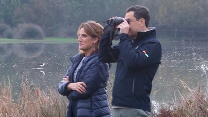 Ribera y Moreno, hoy en Doñana