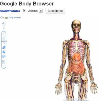 Nueva herramienta de Google para conocer el cuerpo humano.