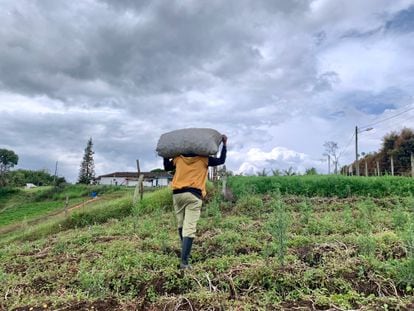 Un campesino carga un costal en el municipio de Marinilla, en Antioquia (Colombia).