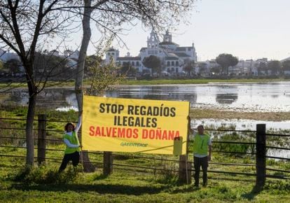 Activistas de Greenpeace, con una pancarta en contra de la proposición de ley del PP y Vox sobre los regadíos en Doñana, hace tres semanas.