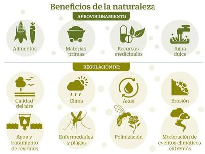 Los cambios geológicos avisan del gran deterioro de la biodiversidad