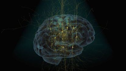 Simulación de un cerebro humano y una red neuronal.