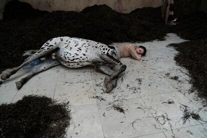 Una parte de la instalación 'We Walked the Earth' ("caminamos por la tierra"), del artista Uffe Isolotto, en el pabellón de Dinamarca, el 19 de abril, un día antes de la apertura previa para profesionales de la exposición de la Bienal de las Artes en Venecia.