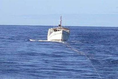 El pesquero <i>Roque Nublo,</i> remolcado por el buque de operaciones especiales <i>Petrel</i>.