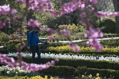 Viajar a Holanda sin salir del Jardín Botánico de Madrid | Madrid | EL PAÍS