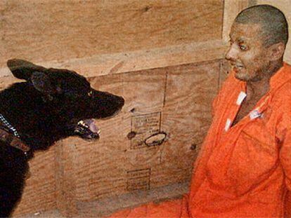 Un prisionero iraquí es acosado por un perro adiestrado por soldados estadounidenses.