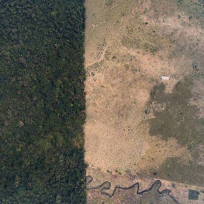 Deforestación en la selva de Chiapas (México).