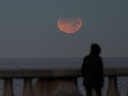 Una persona observa un eclipse lunar parcial desde A Coruña, en noviembre de 2021.