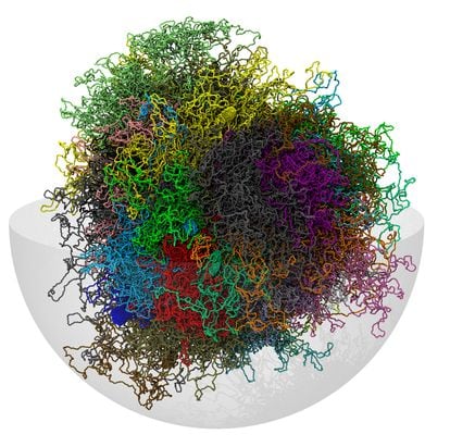 Representación del genoma humano en tres dimensiones