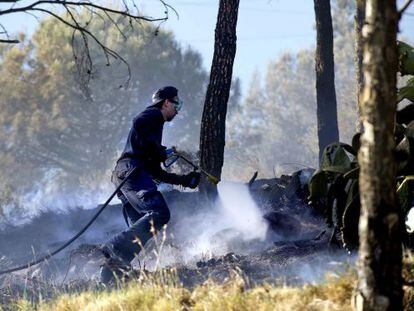 Bomberos realizando tareas de extinci&oacute;n en un incendio en Collserola en 2012.