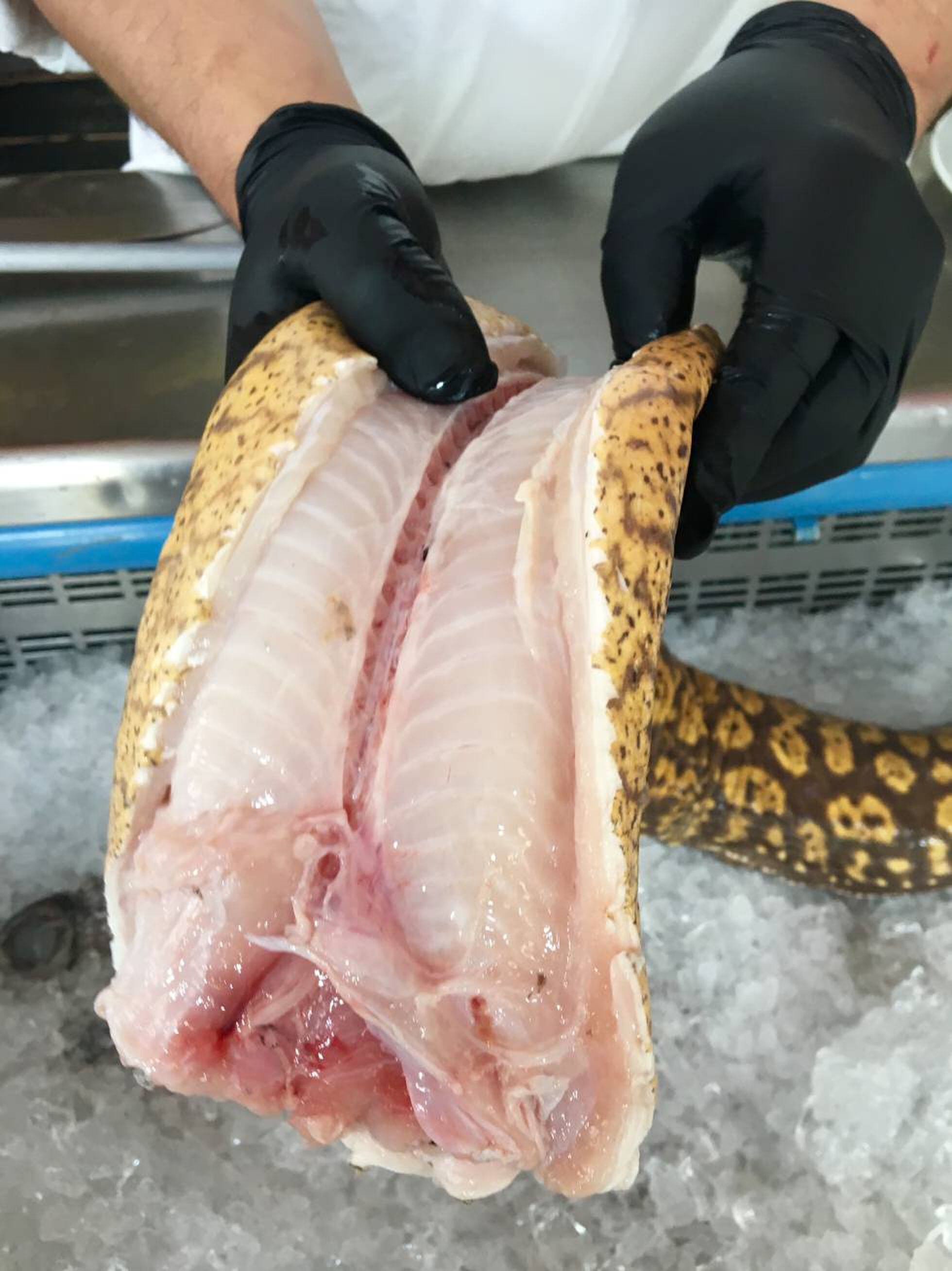 Chicharrones de morena en El Templete | Gastronotas de Capel | EL PAÍS