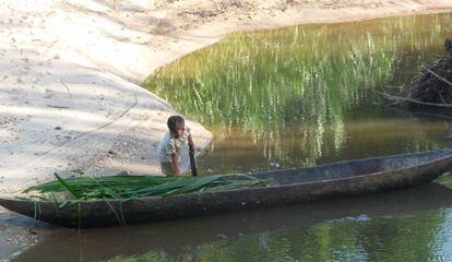 Un niño Shuar trabaja con una canoa.