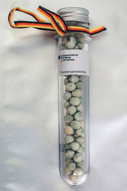 Muestras de guisantes de Alemania.