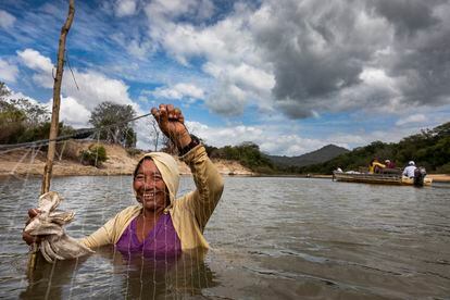 Una mujer pesca usando una red en las aguas poco profundas del río Rupununi, en Guyana. Los estudios indican que los medios de vida que dependen de la caza son sostenibles dentro de las tierras indígenas de la región.