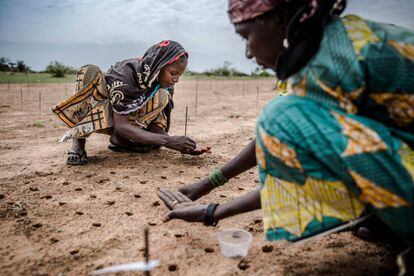 Dos mujeres plantan semillas en la región de Zinder, en el Sahel de Níger, en 2019.