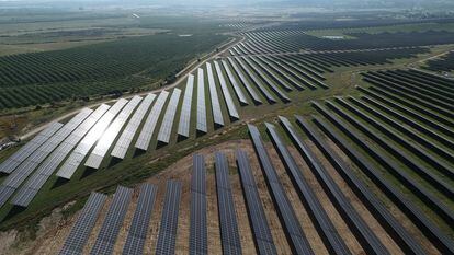 Un gran parque solar de 50 megavatios en Almaraz, Extremadura.