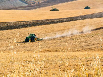 Un tractor prepara una tierra en Andalucía