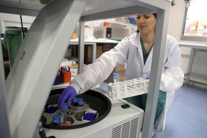 Una investigadora deposita muestras de sangre en la centrifugadora.