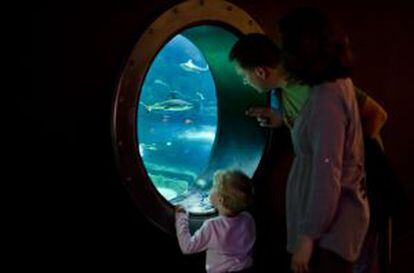 Una familia visitando el acuario de última generación CinéAqua, en París.