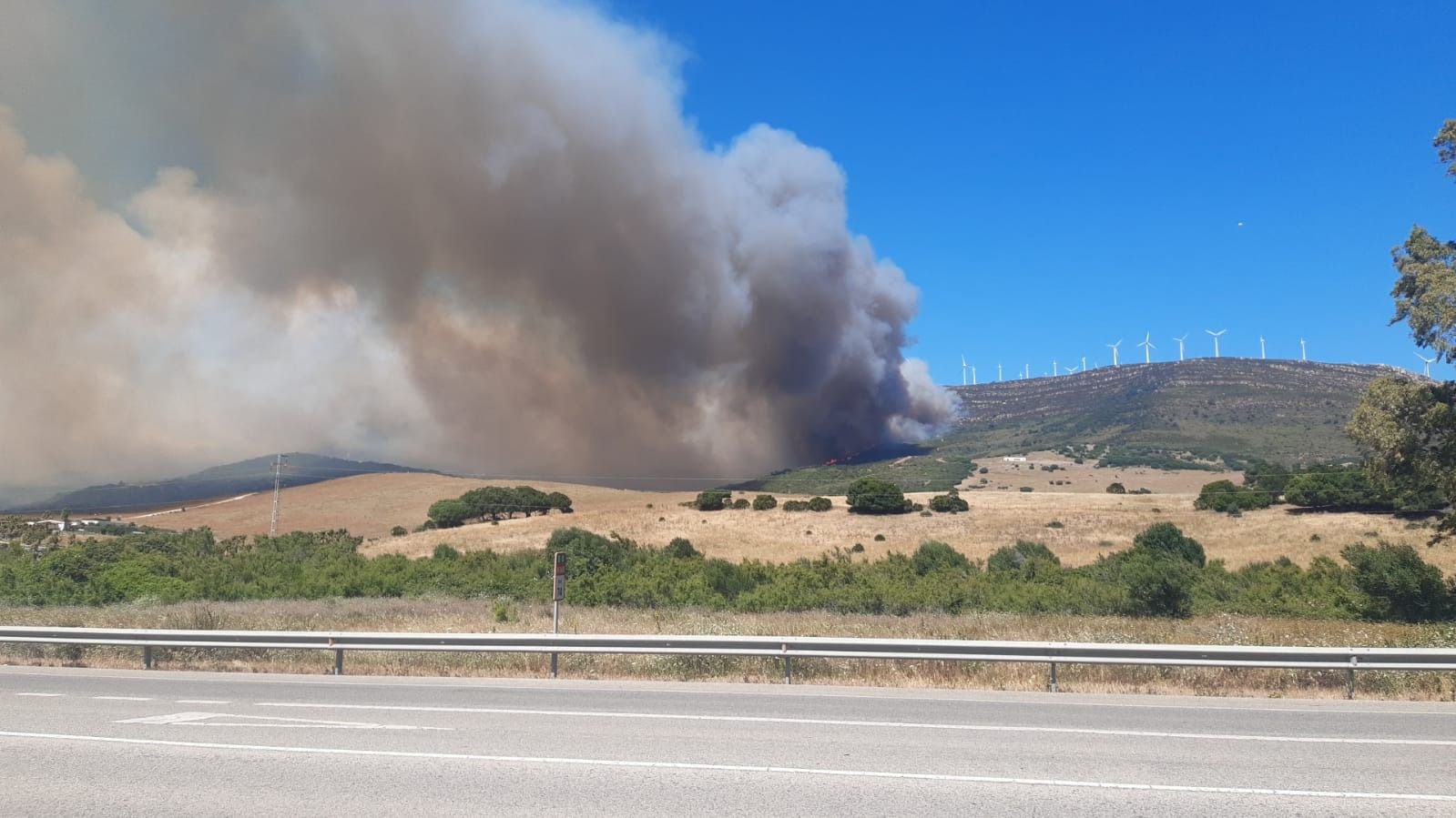 El fuerte viento de levante complica un incendio forestal a las afueras de Tarifa