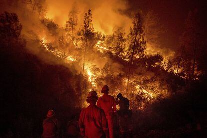 Bomberos frente al incendio múltiple de Mendocino, en Ladoga, California, el pasado martes.