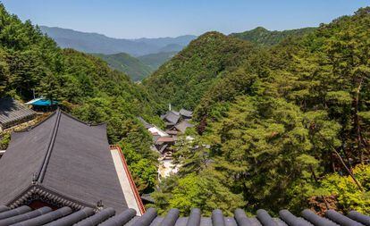 Vistas desde uno de los templos budistas de Guinsa, en Corea del Sur.