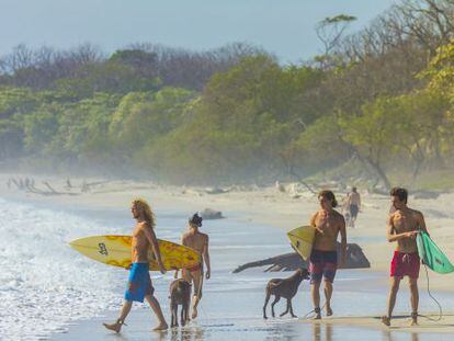 Surfistas en la playa de Santa Teresa, en Costa Rica.