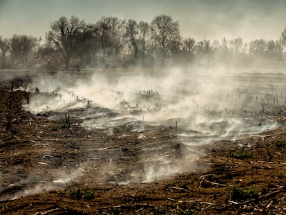 Des de l’Empordà, on es refugia, la Sara busca establir una nova connexió amb la natura.