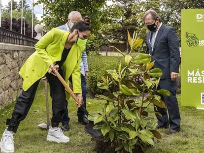 La cantante India Martínez; el presidente de Ecodes, José Ángel Rupérez y el CEO de DKV, Josep Santacreu, plantan un árbol en el lanzamiento de la campaña. 