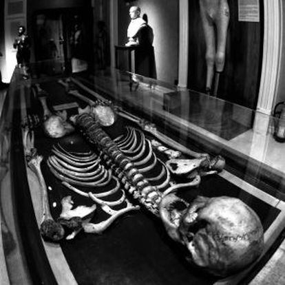 Esqueleto del gigante extremeño en el Museo Nacional de Antropología.