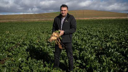 Javier Prieto, agricultor de remolacha, en su explotación de de Peleas de Abajo, Zamora.