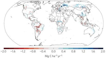 El mapa muestra la evoluci&oacute;n anual de la biomasa expresada en toneladas de carbono por hect&aacute;rea. En azul, las zonas donde crece la cubierta vegetal y, en rojo, donde desciende. 