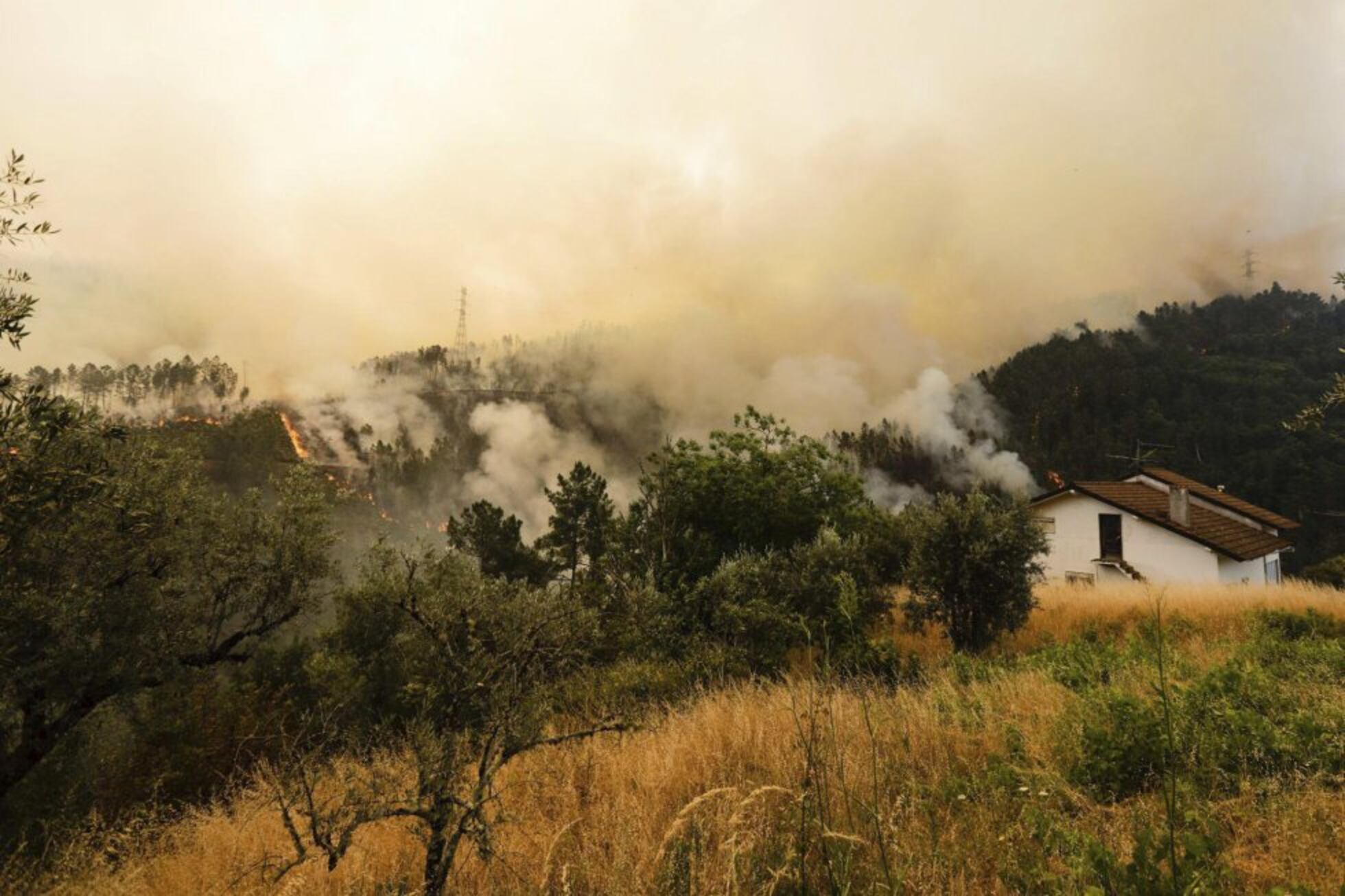 La lucha contra las llamas del incendio de Portugal | Fotos ...