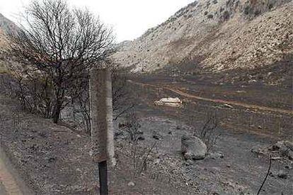 Zona afectada por las llamas del incendio registrado en la Sierra de Cádiz.