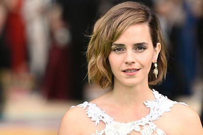 Harry Potter' Fans Say Emma Watson Looks Gorgeous in a Sheer Lace Backless  Dress