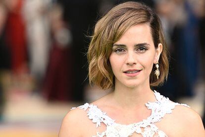 Harry Potter' Fans Say Emma Watson Looks Gorgeous in a Sheer