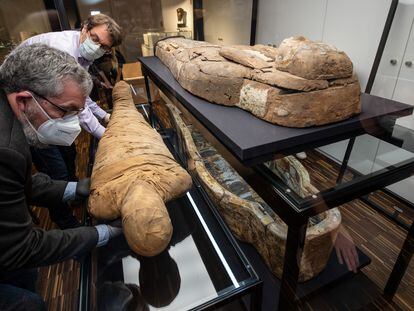 Una momia tras su restauración junto a su sarcófago en el Museo Arqueológico de la Universidad de Münster.