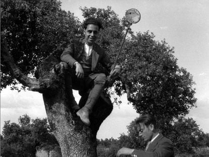 Juan Gil Collado, encaramado a un árbol con un cazamariposas, hacia 1921.