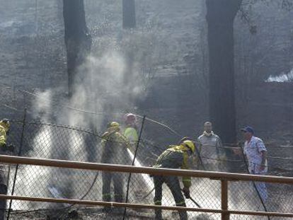 Labores de extinción del incendio en Vallehermoso (La Gomera).