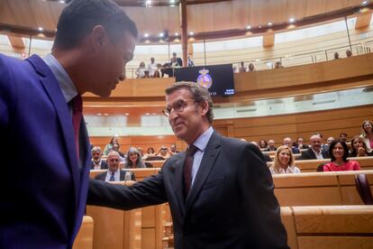 El presidente del Gobierno, Pedro Sánchez , y el líder del PP, Alberto Núñez Feijóo, se saludan en una sesión plenaria en el Senado, el pasado 7 de junio.