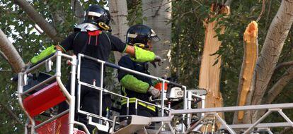 Bomberos del Ayuntamiento apean la rama ca&iacute;da en el Retiro.