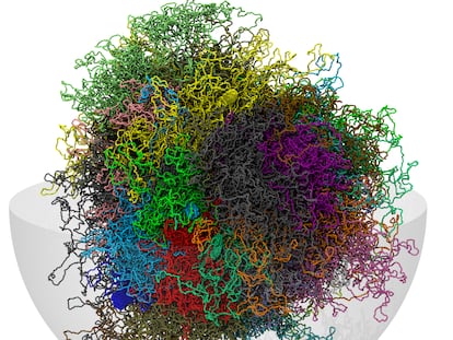 Representación del genoma humano en tres dimensiones