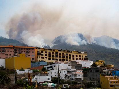 El incendio forestal que afecta a la isla de Tenerife mientras avanzaba el sábado por el municipio de La Victoria.