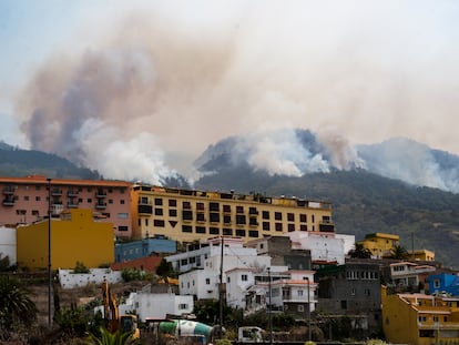 El incendio forestal que afecta a la isla de Tenerife mientras avanzaba el sábado por el municipio de La Victoria.