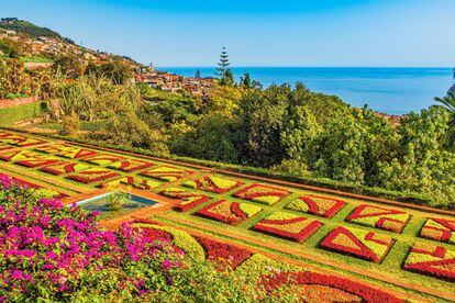 El jardín botánico de Funchal, capital de la isla portuguesa de Madeira.