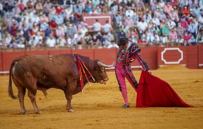 Morante de la Puebla , ante el toro de Juan Pedro Domecq con el que triunfó el 1 de octubre en La Maestranza.