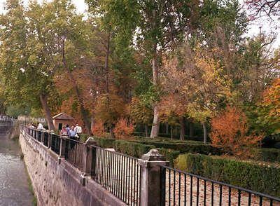 El Tajo a su paso por los jardines de Aranjuez